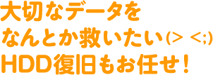 大切なデータをなんとか救いたい HDD復旧もお任せ！