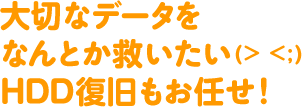 大切なデータをなんとか救いたい HDD復旧もお任せ!